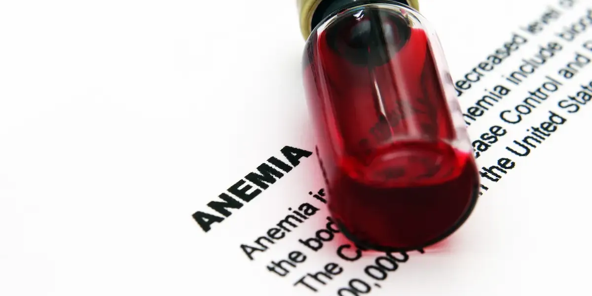 Anemia (carencia de ácido fólico) :: Menú aconsejado