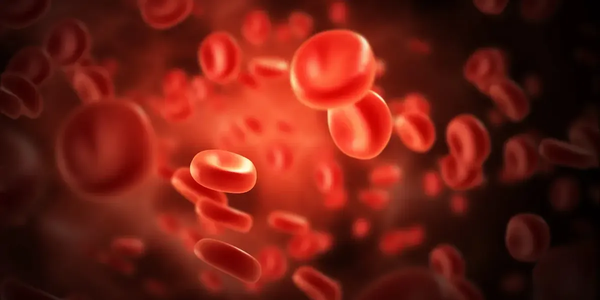 Anemia ferropénica (carencia de hierro) :: Menú aconsejado