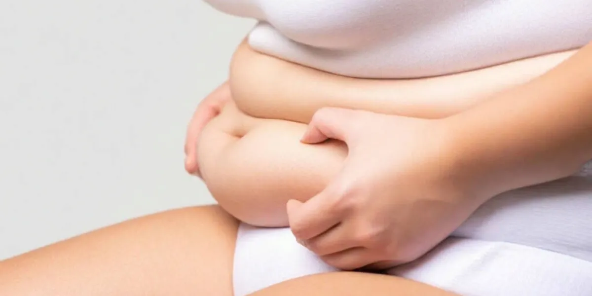 Obesidad :: Alimentos aconsejados, permitidos y limitados